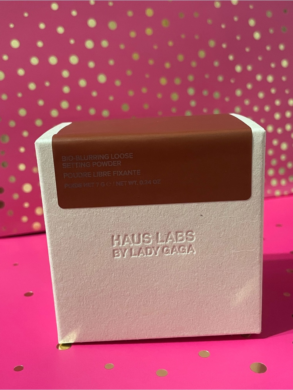 Haus Labs by lady gaga loose setting powder